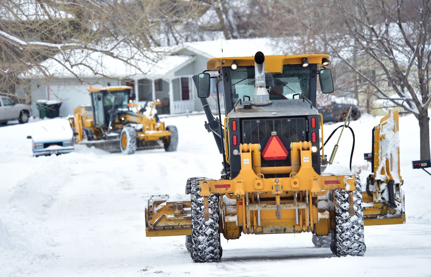 Ginger bear plow